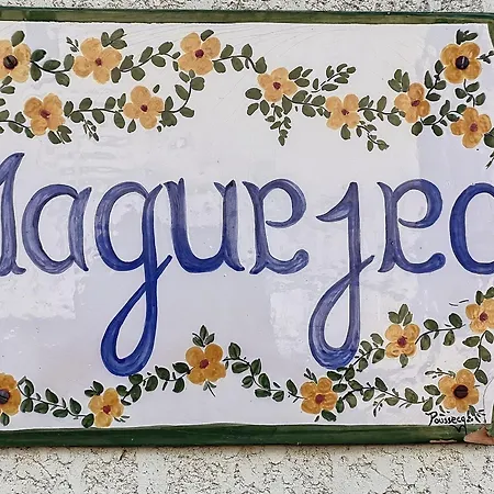 Cosy Proche Thermes Et Centre-ville Avec Terrasse, Animaux Acceptes - - Fr-1-451-67 * Lamalou-les-Bains